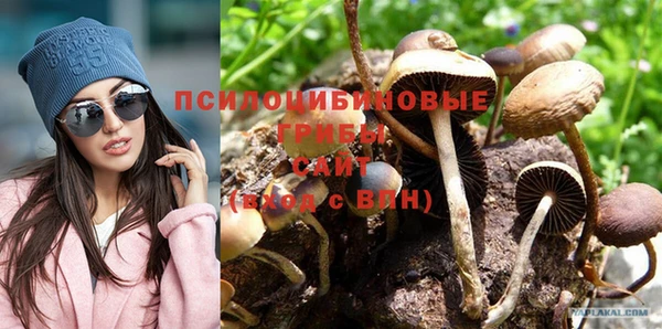 метамфетамин Покачи