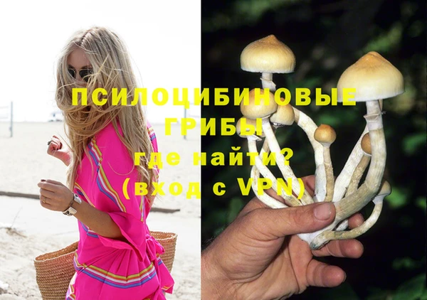 spice Покров